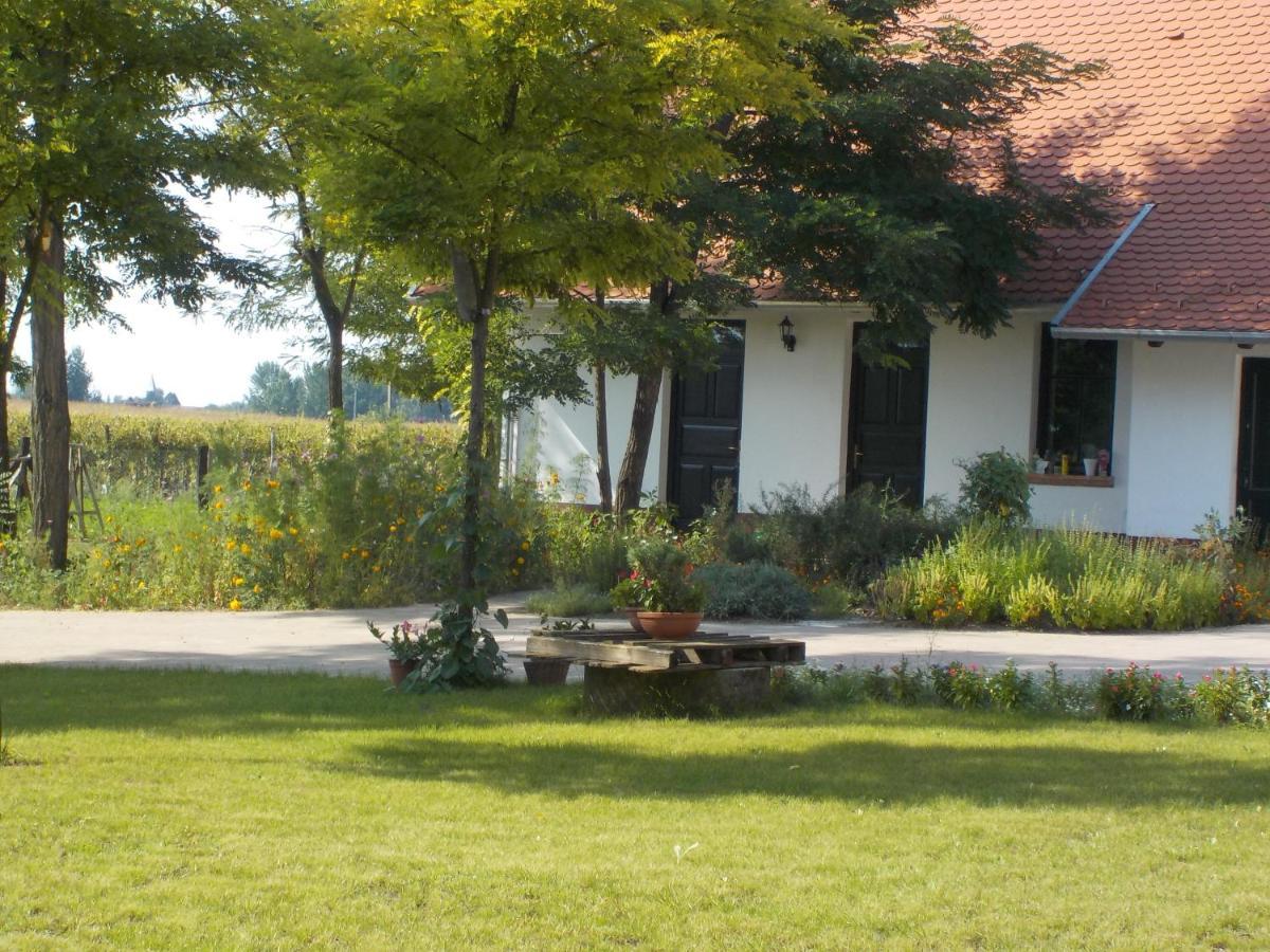 Guest House Vidravar Tabdi Bagian luar foto